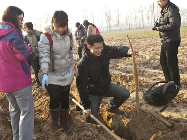 4  中药房职工在河南焦作“四大怀药”基地采挖山药.JPG